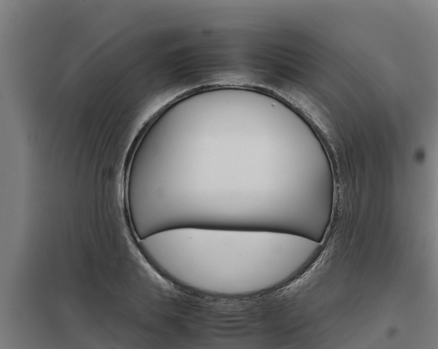 X0000098040839200803280752