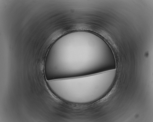 X0000098040841200803280752