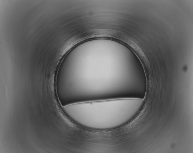 X0000098040842200803280752