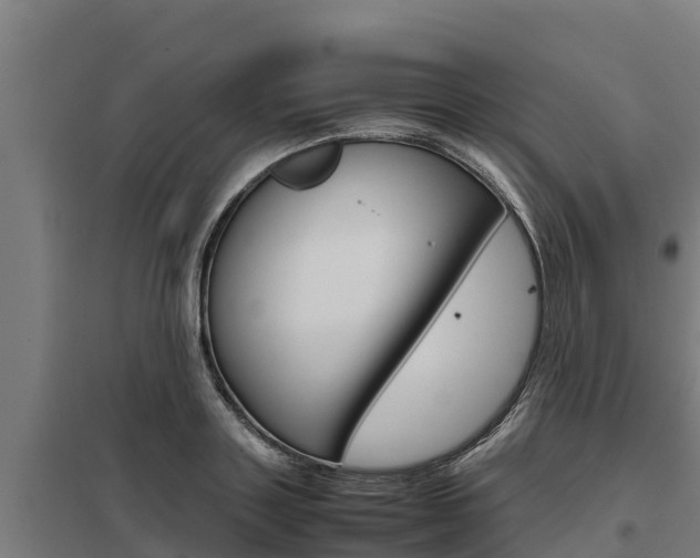 X0000098040843200803280752