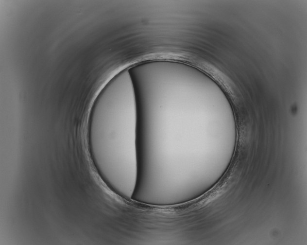 X0000098040844200803280752