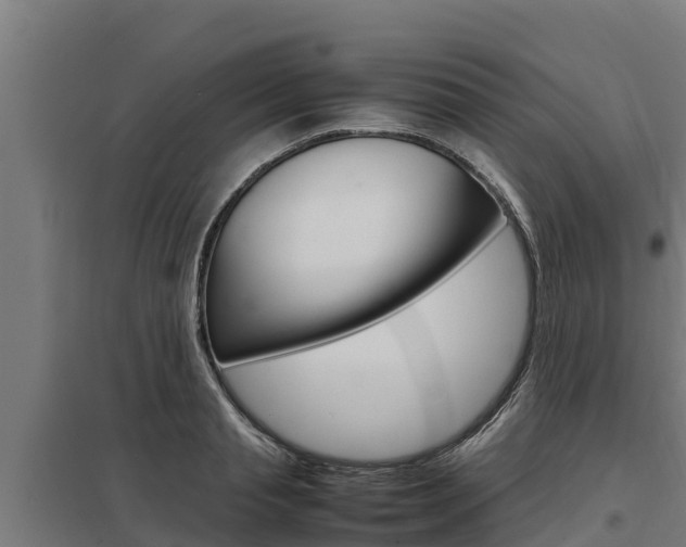 X0000098040845200803280752