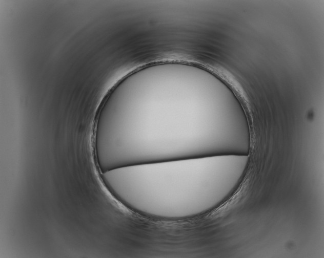 X0000098040847200803280752