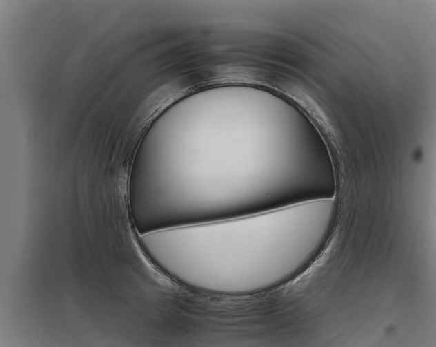 X0000098040849200803280752