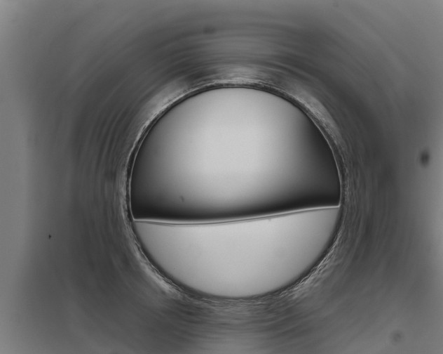 X0000098040850200803280752