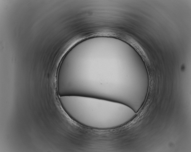 X0000098040852200803280752