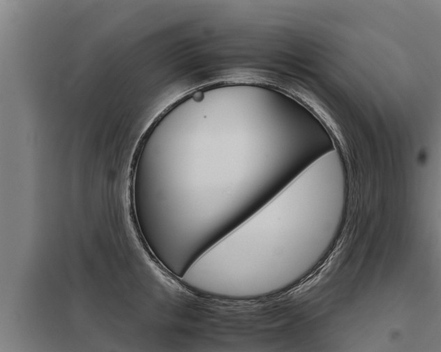 X0000098040853200803280753