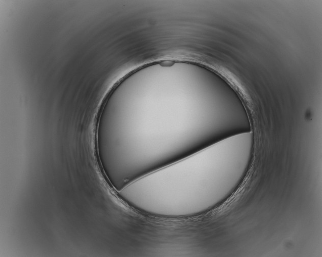 X0000098040854200803280753