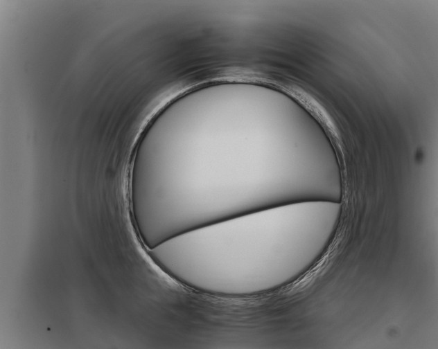 X0000098040855200803280753
