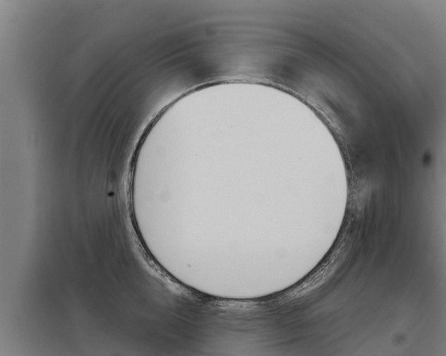 X0000098040856200803280753