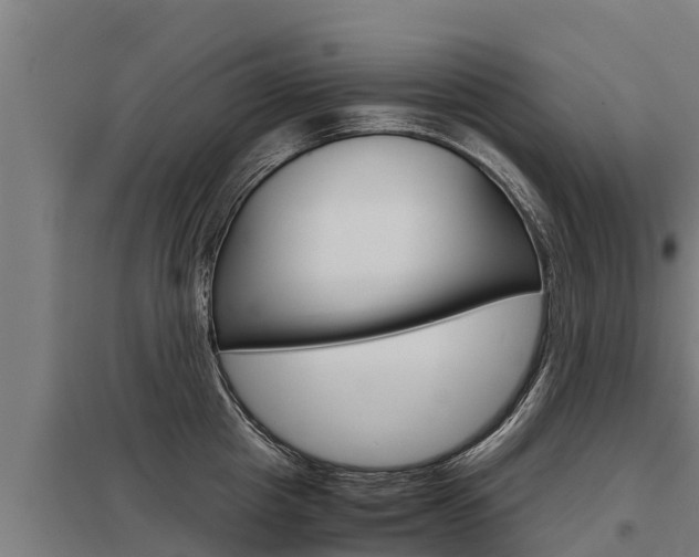 X0000098040857200803280753