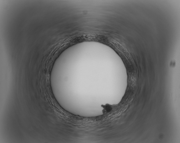 X0000098040865200803280752