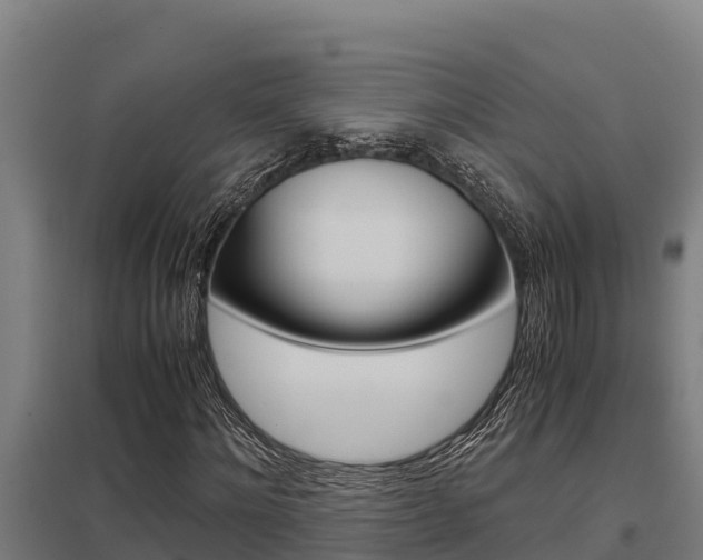 X0000098040868200803280752