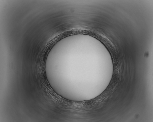 X0000098040870200803280752