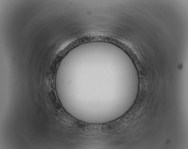 X0000098040871200803280752