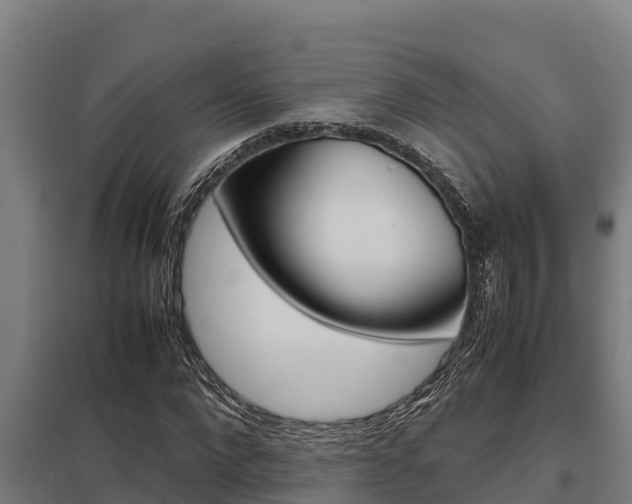X0000098040872200803280752