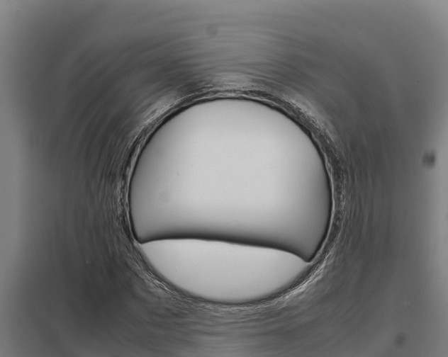 X0000098040873200803280752
