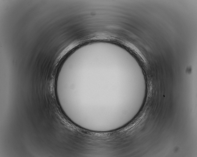 X0000098040874200803280752