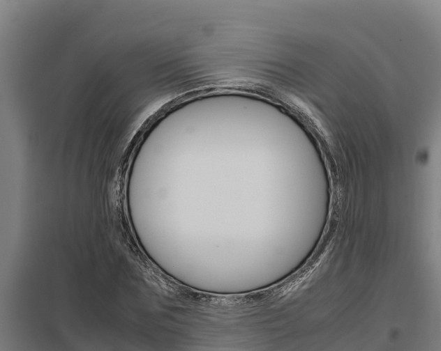 X0000098040875200803280752