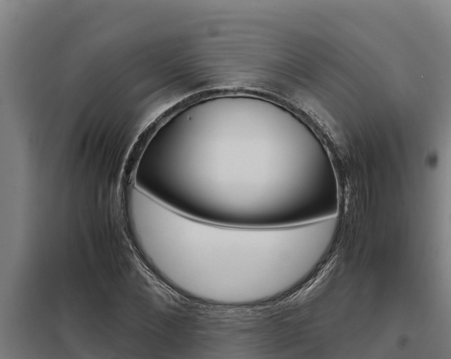 X0000098040876200803280752