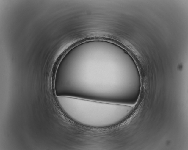 X0000098040877200803280752