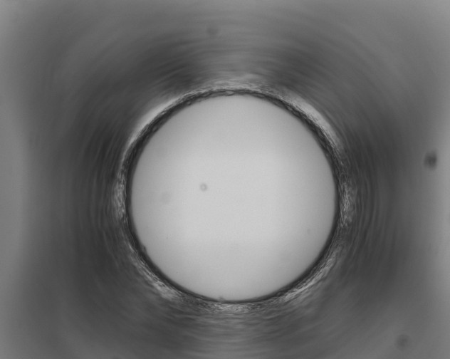 X0000098040878200803280752
