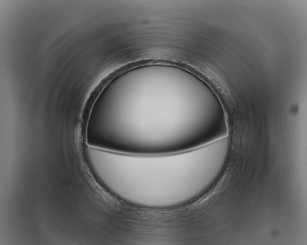 X0000098040880200803280752