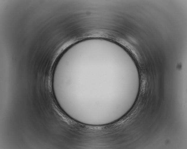 X0000098040882200803280752