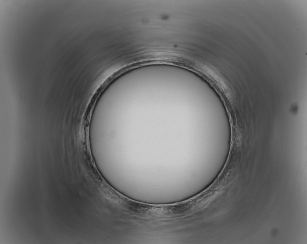 X0000098040883200803280752