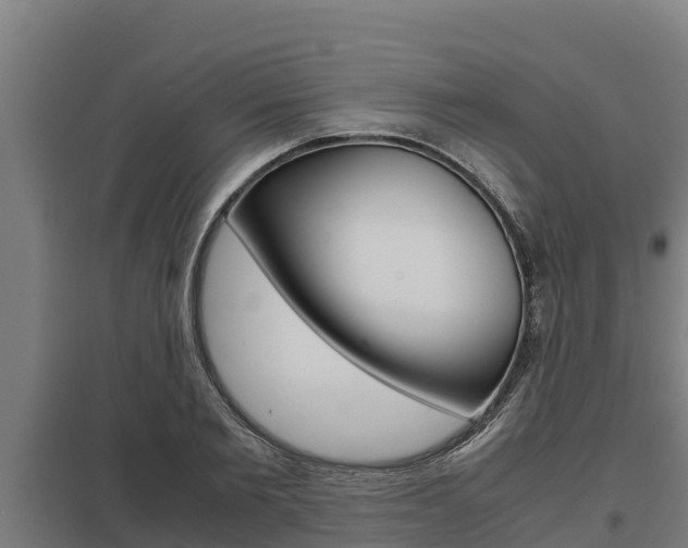 X0000098040885200803280752