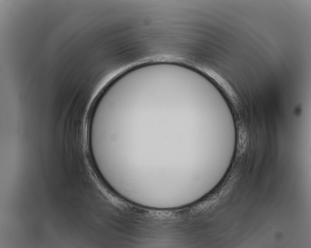 X0000098040886200803280752