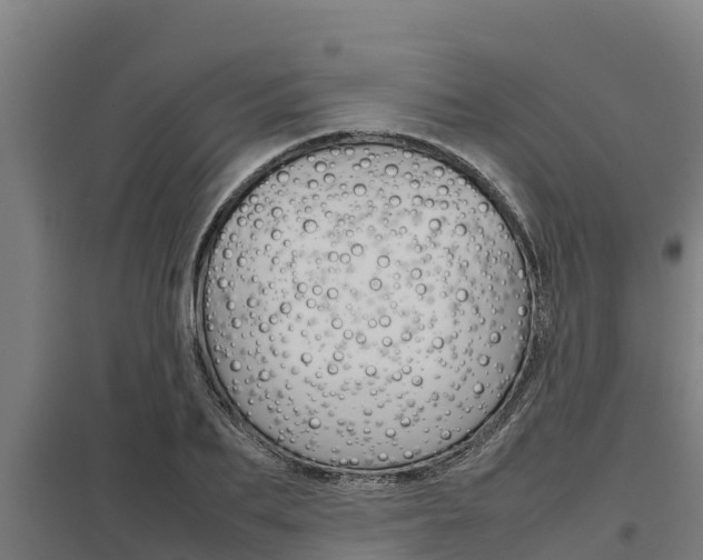 X0000098040887200803280752