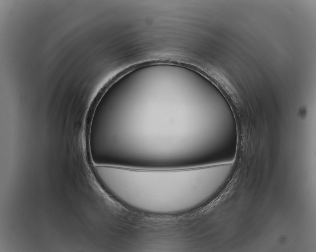 X0000098040888200803280752