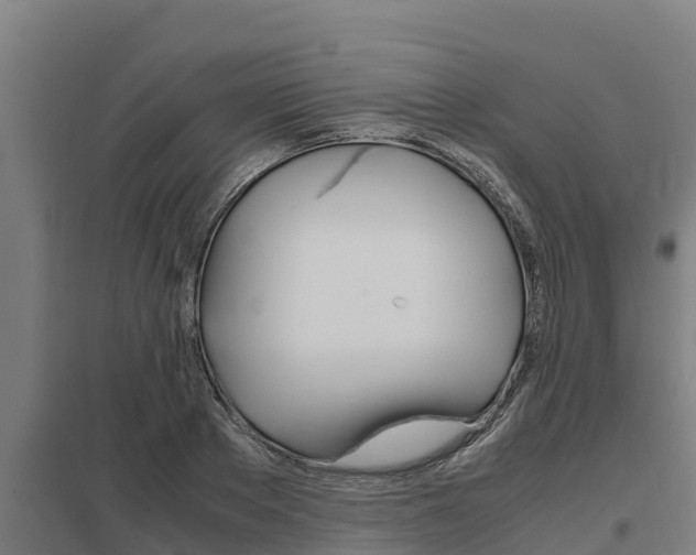 X0000098040889200803280751
