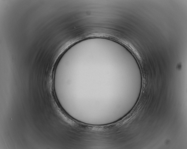 X0000098040890200803280751