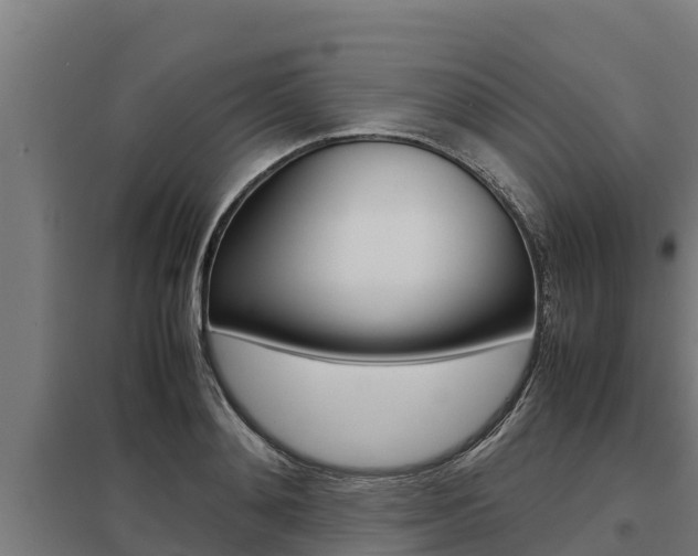 X0000098040892200803280751
