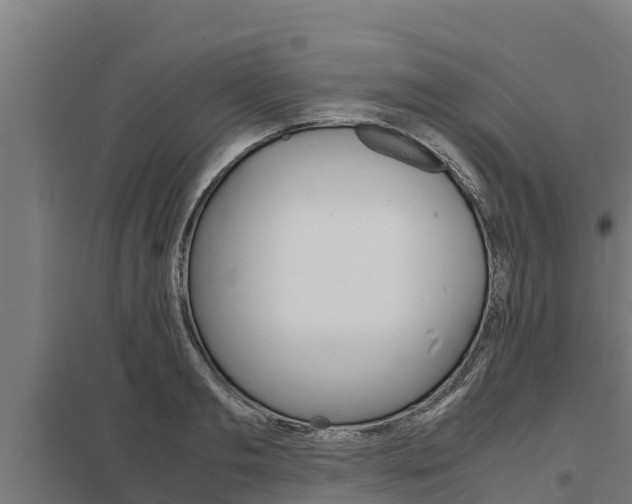 X0000098040893200803280751