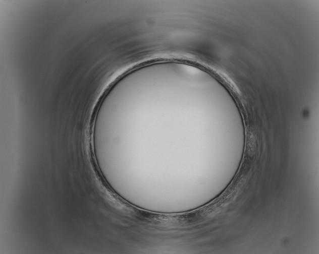 X0000098040895200803280751