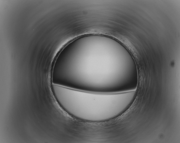 X0000098040896200803280751