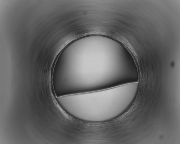 X0000098040898200803280751