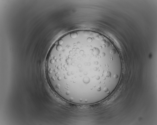 X0000098040899200803280751