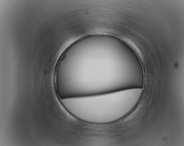 X0000098040901200803280751