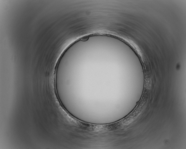 X0000098040903200803280751