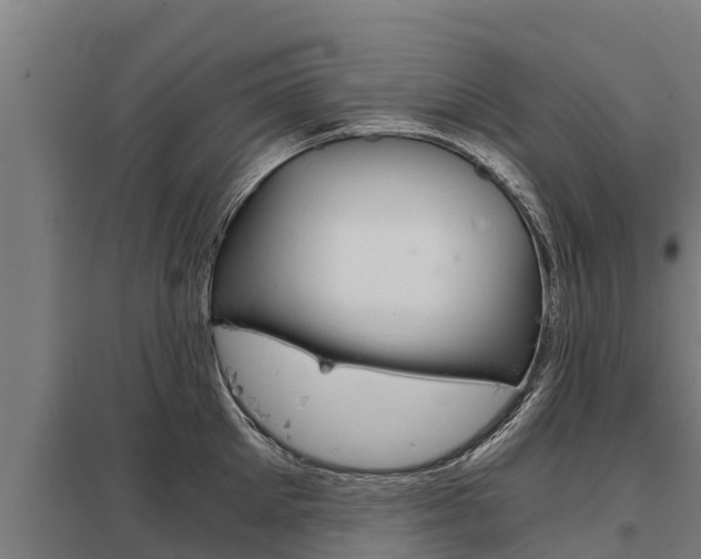 X0000098040905200803280751