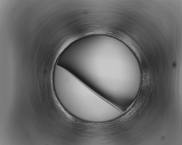 X0000098040906200803280751