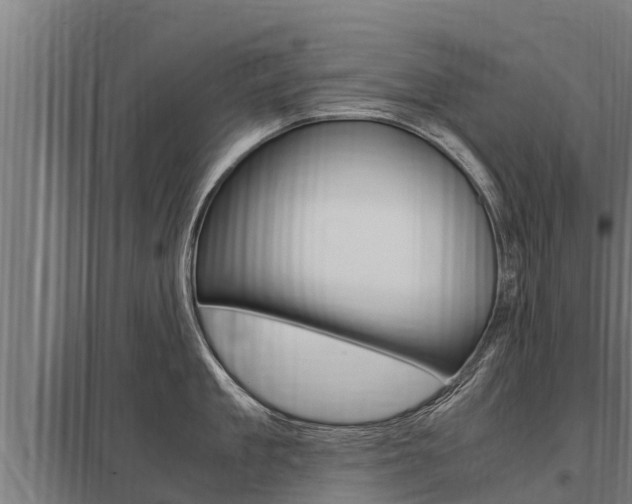 X0000098040909200803280751