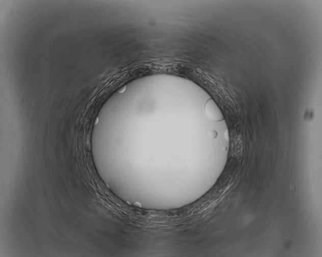 X0000098040913200803280751