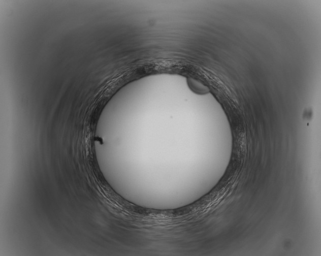 X0000098040914200803280751