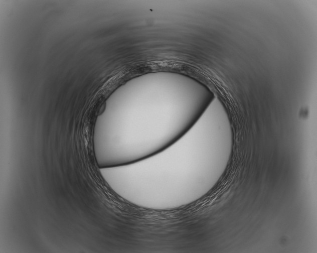 X0000098040915200803280751