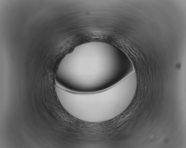 X0000098040916200803280751